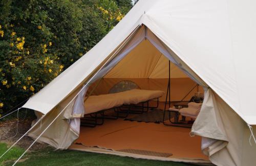 Liverton Other | Dartmoor Halfway Campsite