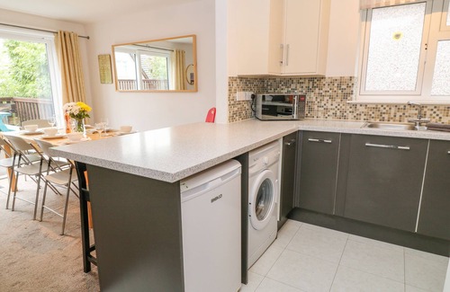 St. Ann's Chapel Cottage | Dartmoor Valley Lodge 10