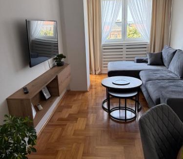 City Center Apartment | DarViva Apartment Niš, center, private garage parking, river view