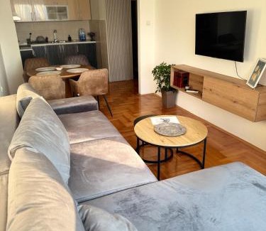 City Center Apartment | DarViva Apartment Niš, center, private garage parking, river view