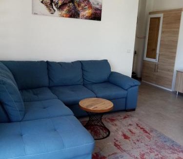 Datca City Center Apartment | Datça Zeytinevleri Apart