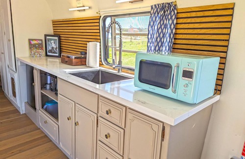 Paso Robles RV Rental | David Bowie Trailer - Bowie Themed Vintage Trailer