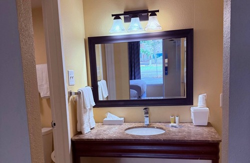 St. Petersburg - Clearwater Hotel | Days Inn by Wyndham St. Petersburg/Tampa Bay Area