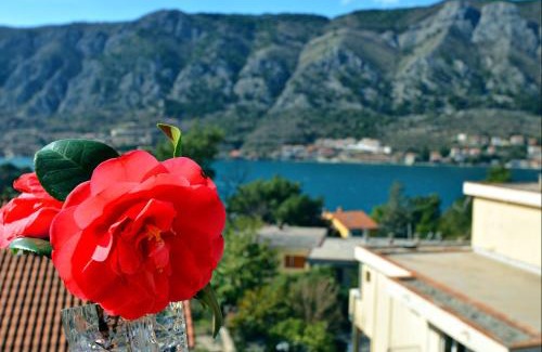 Kotor Apartment | DC Apartment D