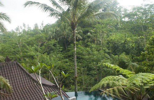 Tegallalang Hotel | DD Ubud Villa