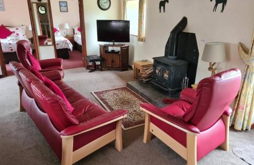 Plwmp House | Ddol Cottage Traditional Coastal cottage nr Llangrannog & New Quay with Donkeys