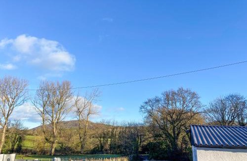 Rhyl House | Ddwylig Isaf Farmhouse - Uk48624