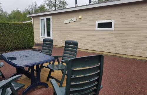 Nunspeet Ski Chalet | De Bijsselse Enk, Lelie