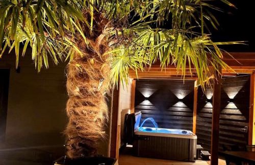 Sint-Annaland Ski Chalet | De Corner van Zeeland met jacuzzi