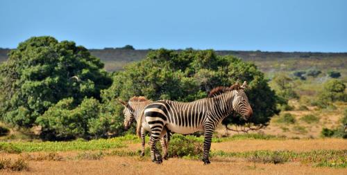 Overberg Ski Chalet | De Hoop Collection Suites