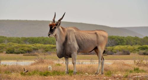 Overberg Ski Chalet | De Hoop Collection Suites