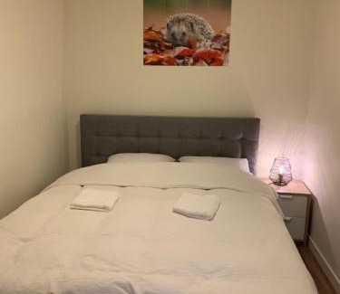 Otterlo House | De Spitse Egel: ontdek de pareltjes in de natuur!