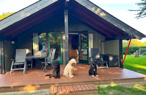 Norgaardholz House | Vacation home for 8 guests with 96m² in Steinberg OT Norgaardholz - Baltic Sea (146903)