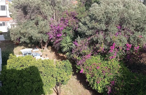 Ialyssos Apartment | Debby Hotel Apartments