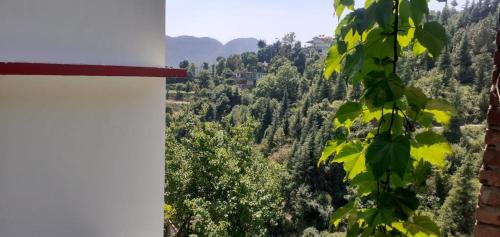 Shoghi House | Deep Jyoti Home Stay