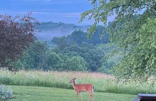 Logan House | Deer Run - by The Chalets