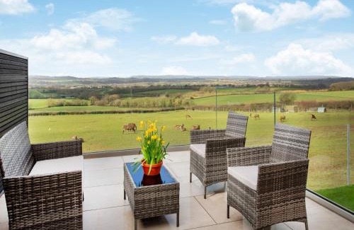 Ottery St Mary House | Deer View