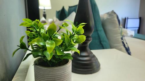Beacon Bay Apartment | Deja' Blu Bed and Breakfast