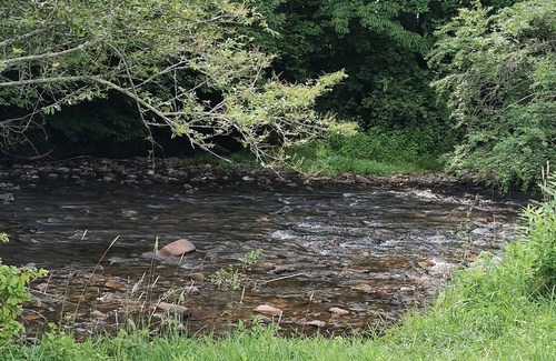 Andrews RV Rental | Delightful campground in Andrews on the river.