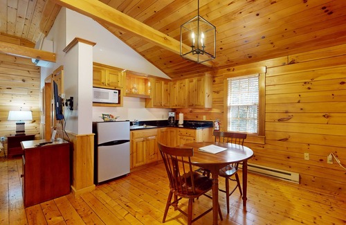 Northport Cabin | Delightful dog-friendly studio cabin with fireplace, AC & nearby hiking