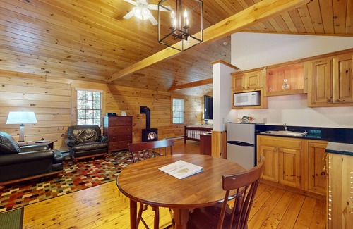 Northport Cabin | Delightful dog-friendly studio cabin with fireplace, AC & nearby hiking