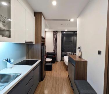 Mang Yang Apartment | Delux Apt Studio Near Marriott And Keangnam In City Centre