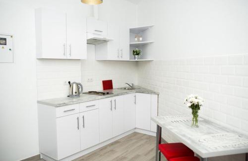 Lviv City Center Apartment | Deluxe Apartment in old city center
