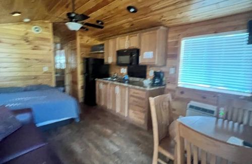 Ernul Cabin | Deluxe Creekside Cabin nearby Blount's Creek!