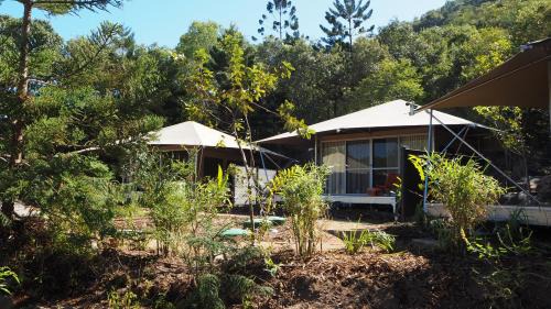 Nelly Bay Other | Deluxe King Safari Tent 2