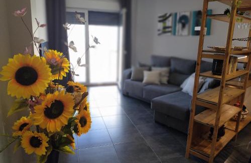 Coiron Apartment | Dena-Sol