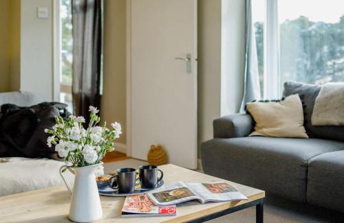 Trenance House | Dene Court
