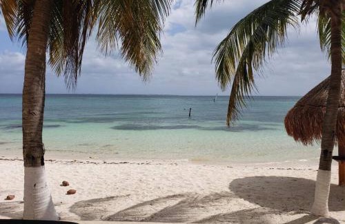 Puerto Juarez Apartment | Depa Bliss · Luxurious getaway at beach paradise Cancún