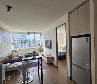 Concepcion Apartment | Departamento 1 Céntrico Concepción