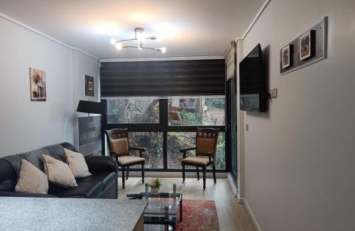 Valdivia Apartment | Departamento 57m2 Costanera Valdivia, Parking Privado Bodega