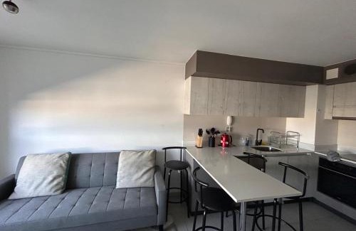 Temuco Apartment | Departamento amoblado central