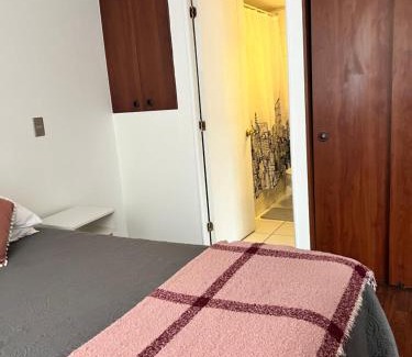 Bellas Artes Apartment | Departamento Céntrico 1 ambiente