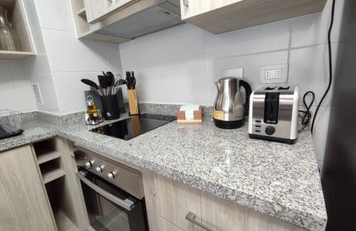 Chillan Apartment | Departamento Centro de Chillán