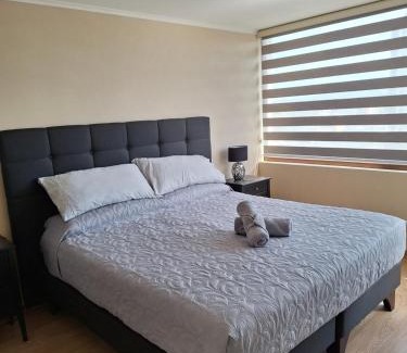 Temuco Apartment | Departamento Centro Lynch II