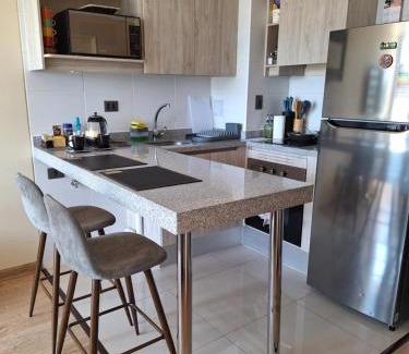 Temuco Apartment | Departamento Centro Lynch II