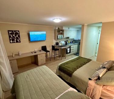 Osorno Apartment | Departamento Centro Osorno 2
