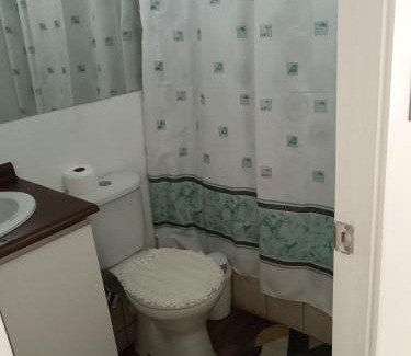 Yerbas Buenas Apartment | Departamento, Chillan