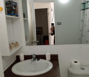 Yerbas Buenas Apartment | Departamento, Chillan