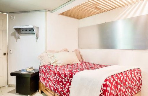 Alvaro Obregon Apartment | Departamento con Jardín Flor de María