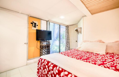 Alvaro Obregon Apartment | Departamento con Jardín Flor de María