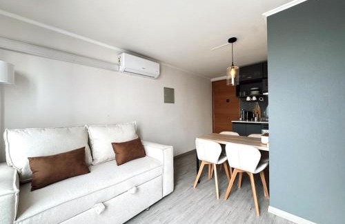 Downtown Santiago Apartment | Departamento de Una Habitación, Terraza con parrilla,