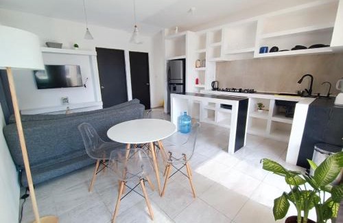 Soledad de Graciano Sanchez Apartment | Departamento Ejecutivo
