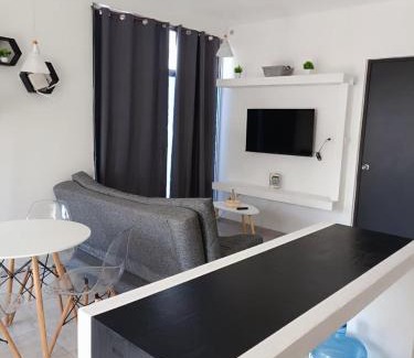 Soledad de Graciano Sanchez Apartment | Departamento Ejecutivo