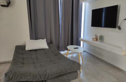 Soledad de Graciano Sanchez Apartment | Departamento Ejecutivo