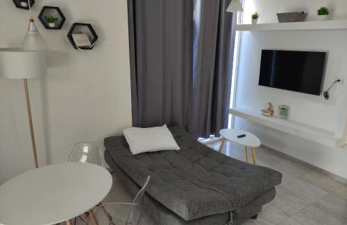 Soledad de Graciano Sanchez Apartment | Departamento Ejecutivo
