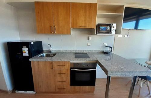 Chillan Apartment | Departamento en el centro de Chillán con estacionamiento, 709